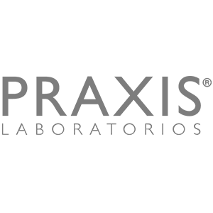 Praxis